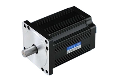 Brushless dc motor